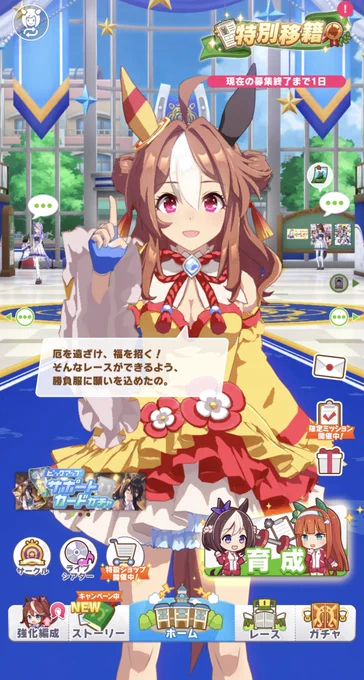 今日から毎日サポカガチャ10連無料+天井分まで貯めたの半分を使う予定なので、運気を上げるべく下準備を整えました 