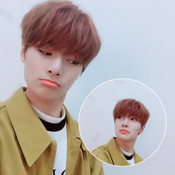 bbangbuys's tweet photo. hello it's been a while since i opened this acc https://t.co/OSJKsb6apk