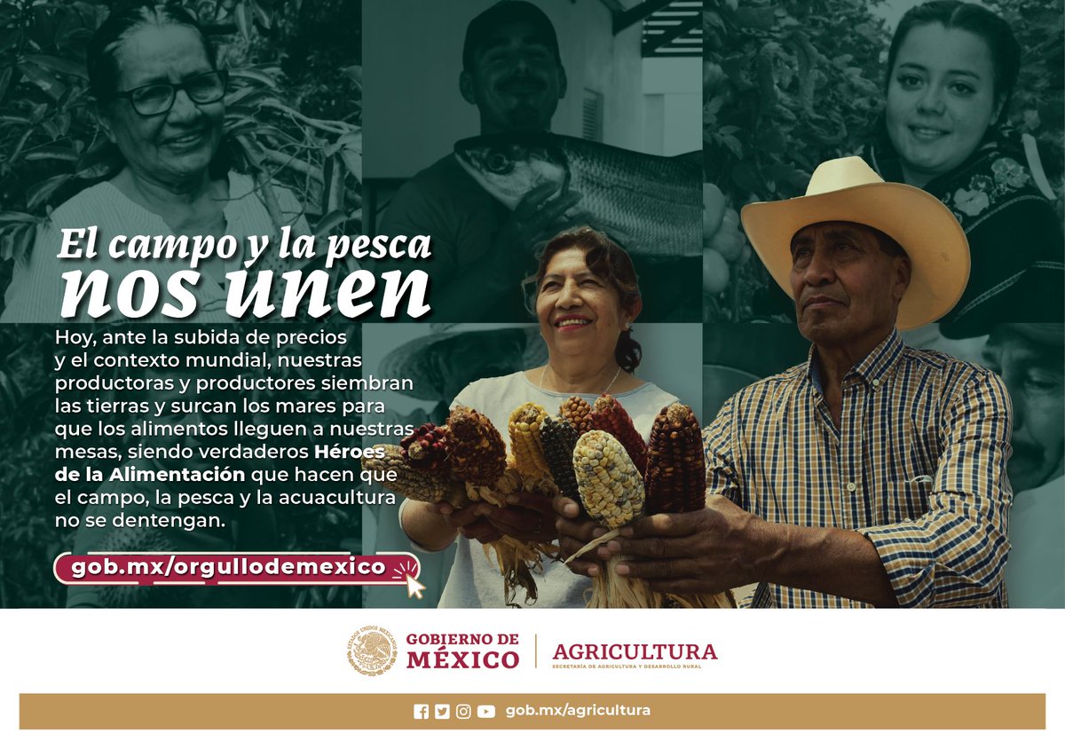 Agricultura_mex's tweet photo. México es el 12° productor de alimentos a nivel mundial gracias al trabajo de las y los #HéroesDeLaAlimentación, que sin importar la situación nos demuestran que #ElCampoNoSeDetiene. https://t.co/gX7N4tdB1y