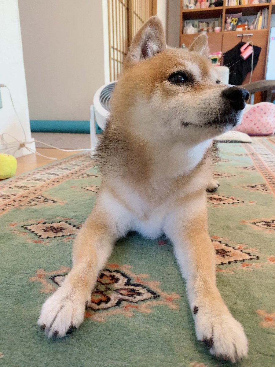 おはよう御座います♪