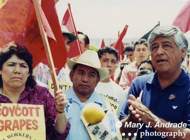 SupervisorAlejo's tweet photo. Today, the Board of Supervisors approved a resolution & adjourned in memory in honor of Señora #SilviaHuerta, a long time farmworker activist of #EastSalinas who marched with Cesar Chavez & was involved with the farmworker & immigrants rights movement throughout her life!✊🏽⚖️ https://t.co/5fUX8cgso8