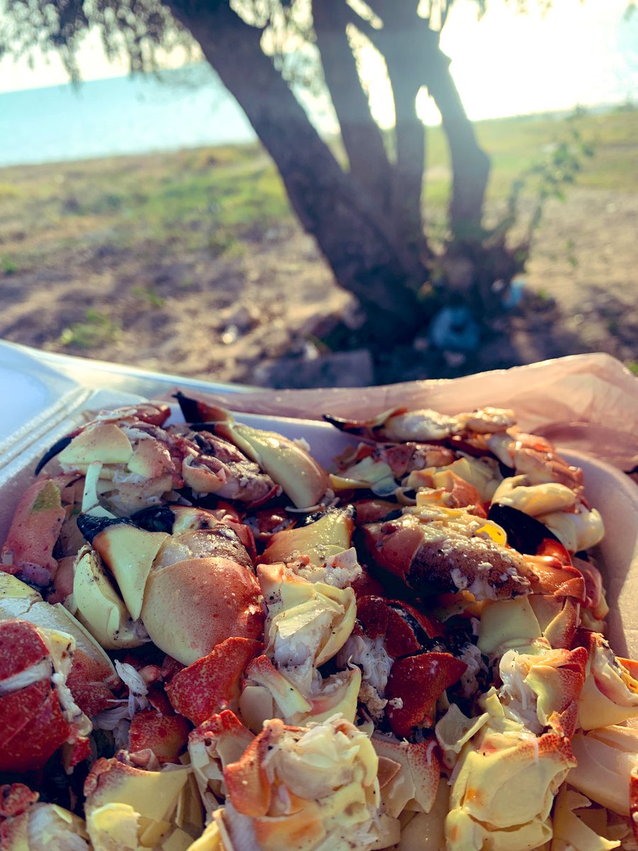 VICTORALTUZAR's tweet photo. Disfrutando unas manitas de cangrejo 🦀 https://t.co/3NZB0MFwEM