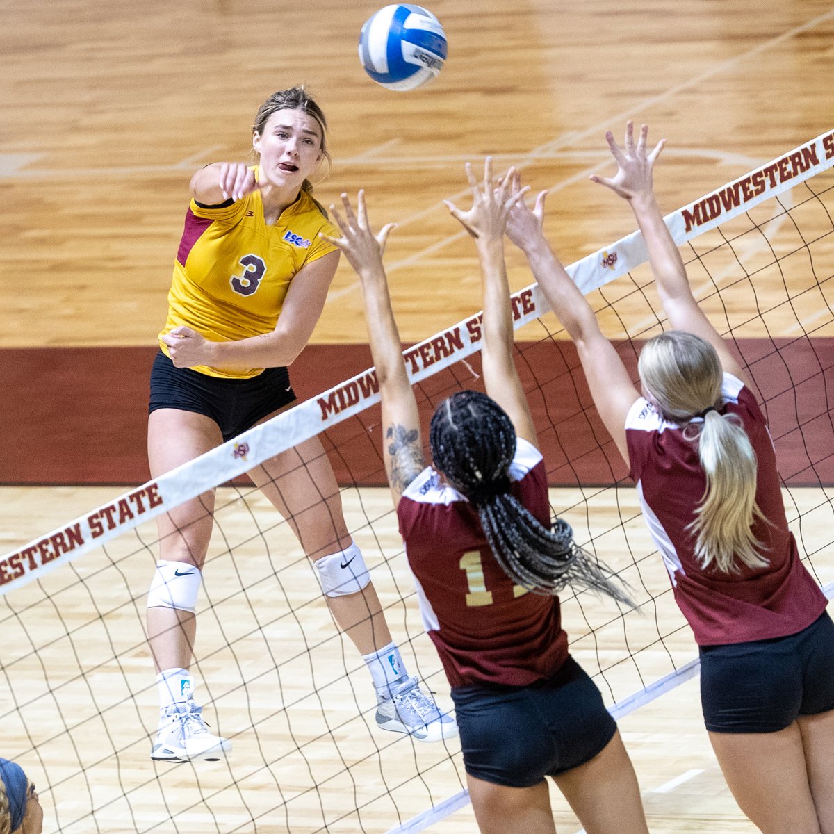 MSUMustangs's tweet image. VOLLEYBALL | Action from the Maroon vs. Gold Scrimmage Tuesday afternoon at D.L. Ligon Coliseum. @msutexasvb opens the season Friday at the Nebraska-Kearney Fall Classic. 🔥🔥🔥