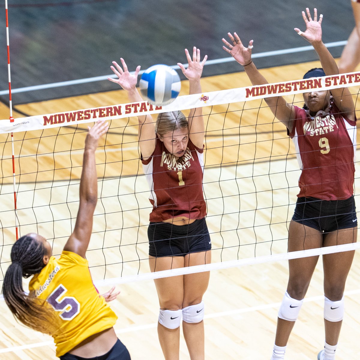 MSUMustangs's tweet image. VOLLEYBALL | Action from the Maroon vs. Gold Scrimmage Tuesday afternoon at D.L. Ligon Coliseum. @msutexasvb opens the season Friday at the Nebraska-Kearney Fall Classic. 🔥🔥🔥
