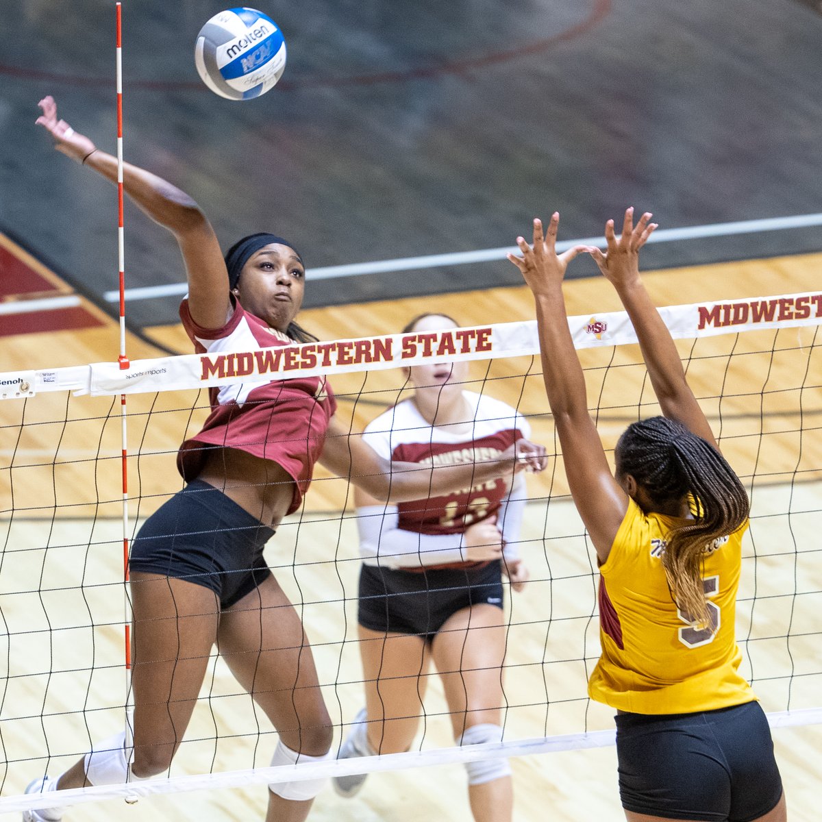 MSUMustangs's tweet image. VOLLEYBALL | Action from the Maroon vs. Gold Scrimmage Tuesday afternoon at D.L. Ligon Coliseum. @msutexasvb opens the season Friday at the Nebraska-Kearney Fall Classic. 🔥🔥🔥