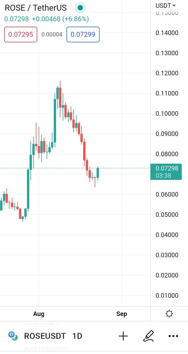 Market Buy Rose/usdt at 0.073, SL 0.062