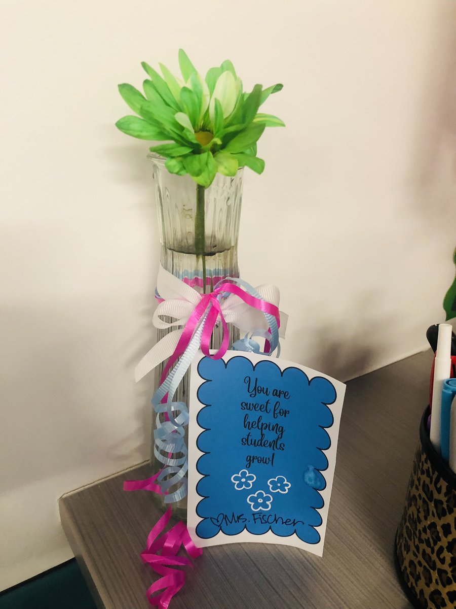 Was surprised with the sweetest flower today by one of the sweetest coworkers I know! #bengalpride <a href="/FischerClassFam/">Mrs. Fischer, M.Ed.</a>