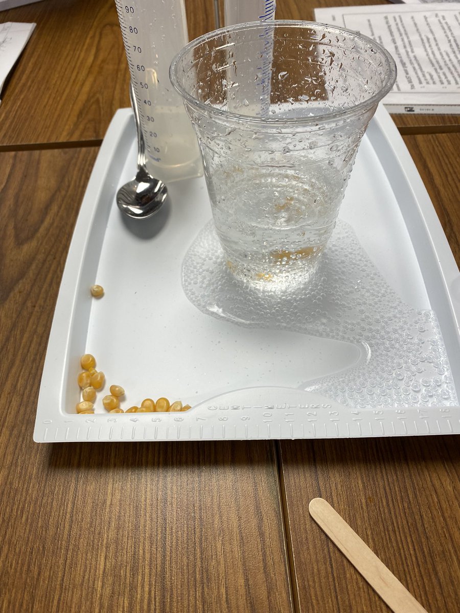 1st science lab of the year = SUCCESS! <a href="/TWEHowl/">Tom Wilson Elementary</a>