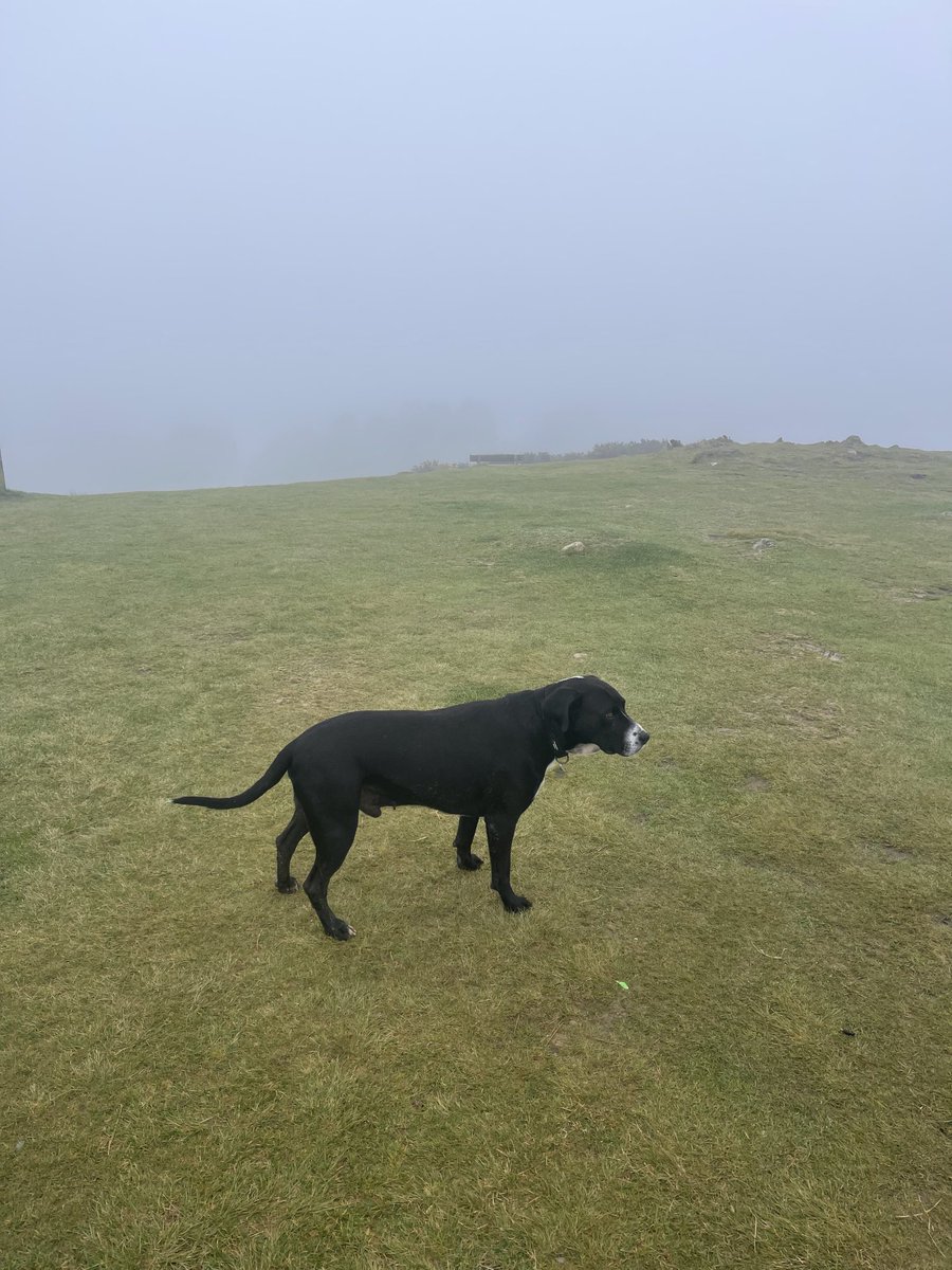 Jack Steer tweet media