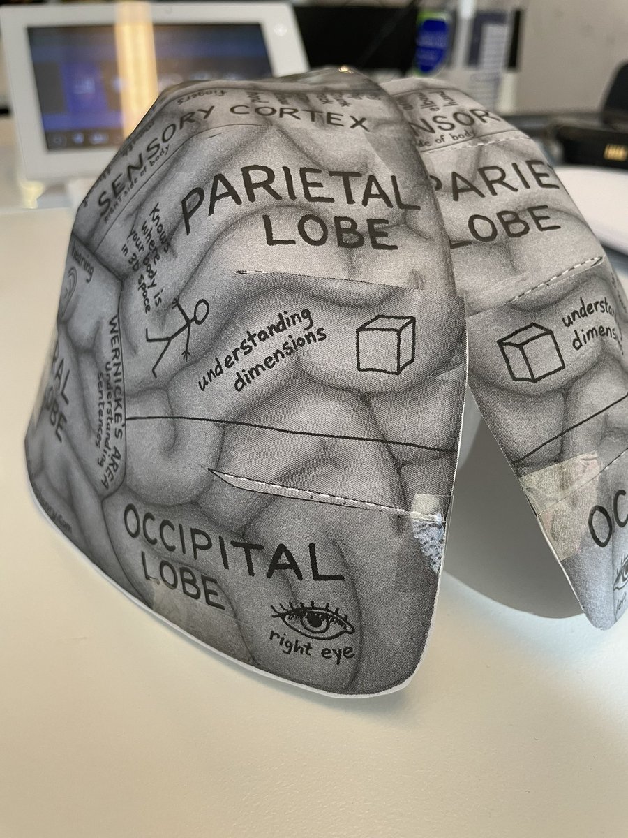 This teaching model was in my classroom this morning - could not resist doing a ‘quick n dirty’ on the global trade in the skulls of POC and the racism of pseudoscience phrenology…