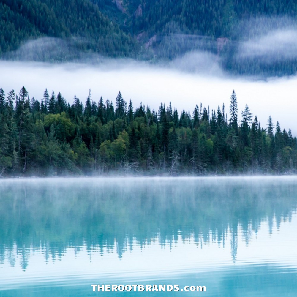 theRootBrands's tweet photo. | ROOT Wellness LLC = https://t.co/DjbeYONhRa | Our Products DETOX, CLEANSE, FOCUS &amp; RELAX the Body – Simply &amp; Naturally | Nature Changes Everything! |
#TheRootBrand #Zeolite #Detox #RootPrime #NatureIN #SYNTHETICSout #CleanSlate #Restore #ZeroIn https://t.co/W4t4RoyJeo