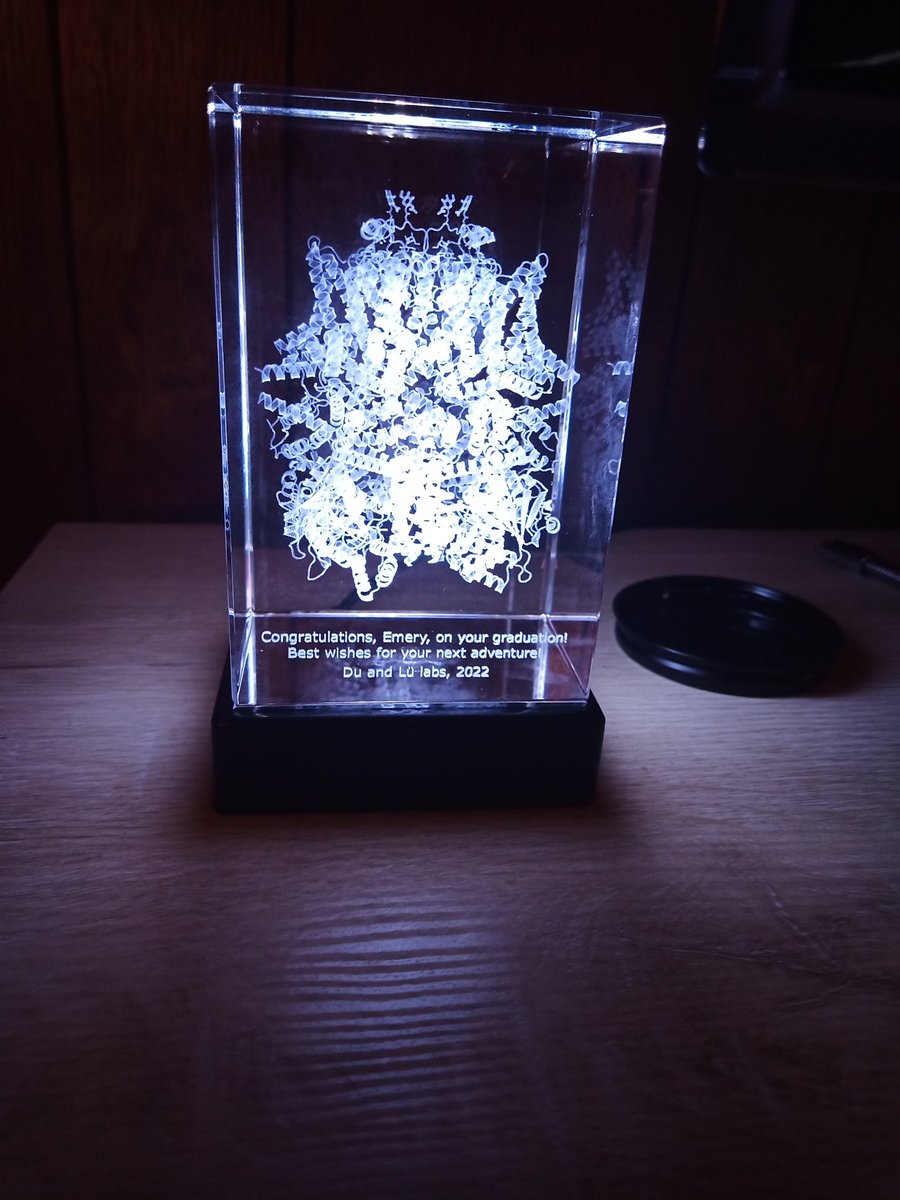 EmeryHaley2's tweet photo. Beautiful graduation 🎓 gift 🎁 from @DuLuLabs, a light-up crystal display of the 3D structure of TRPM5 which I solved for my PhD dissertation https://t.co/KEmc7FjHS3