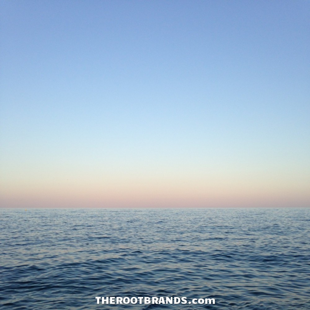 theRootBrands's tweet photo. | ROOT Wellness LLC = https://t.co/DjbeYP4SII | Our Products DETOX, CLEANSE, FOCUS &amp; RELAX the Body – Simply &amp; Naturally | Nature Changes Everything! |
#TheRootBrand #Zeolite #Detox #RootPrime #NatureIN #SYNTHETICSout #CleanSlate #Restore #ZeroIn https://t.co/XJCqfIZDcS