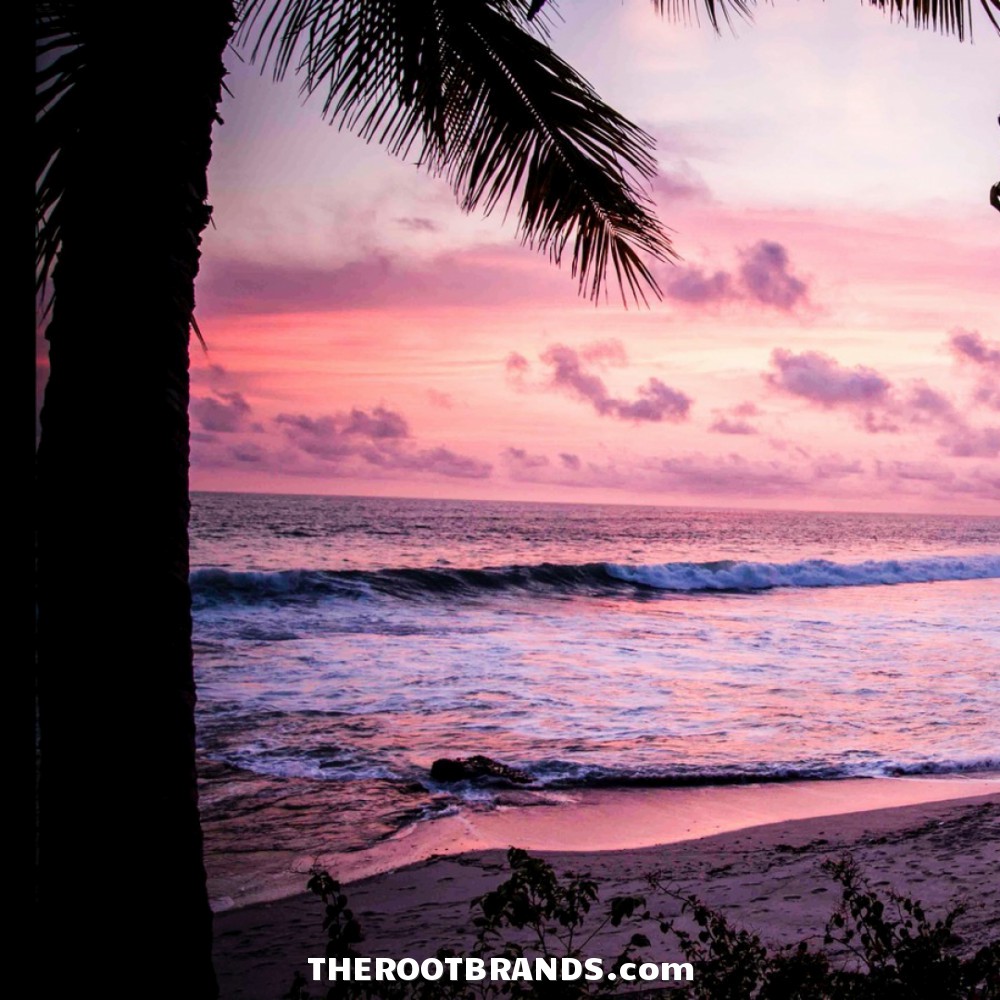theRootBrands's tweet photo. | ROOT Wellness LLC = https://t.co/DjbeYP4SII | Our Products DETOX, CLEANSE, FOCUS &amp; RELAX the Body – Simply &amp; Naturally | Nature Changes Everything! |
#TheRootBrand #Zeolite #Detox #RootPrime #NatureIN #SYNTHETICSout #CleanSlate #Restore #ZeroIn https://t.co/lLSmu7c3fF