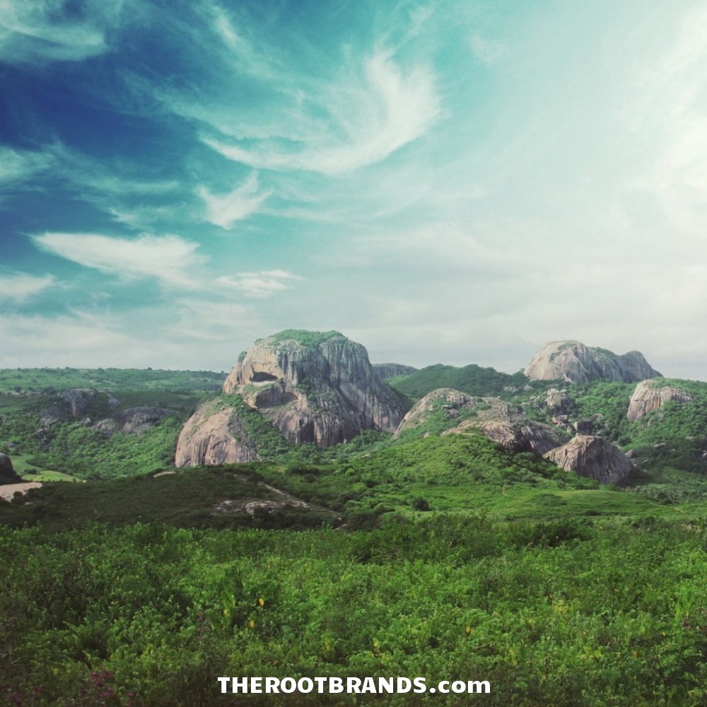 theRootBrands's tweet photo. | ROOT Wellness LLC = https://t.co/DjbeYP4SII | Our Products DETOX, CLEANSE, FOCUS &amp; RELAX the Body – Simply &amp; Naturally | Nature Changes Everything! |
#TheRootBrand #Zeolite #Detox #RootPrime #NatureIN #SYNTHETICSout #CleanSlate #Restore #ZeroIn https://t.co/cPnURJfJUr