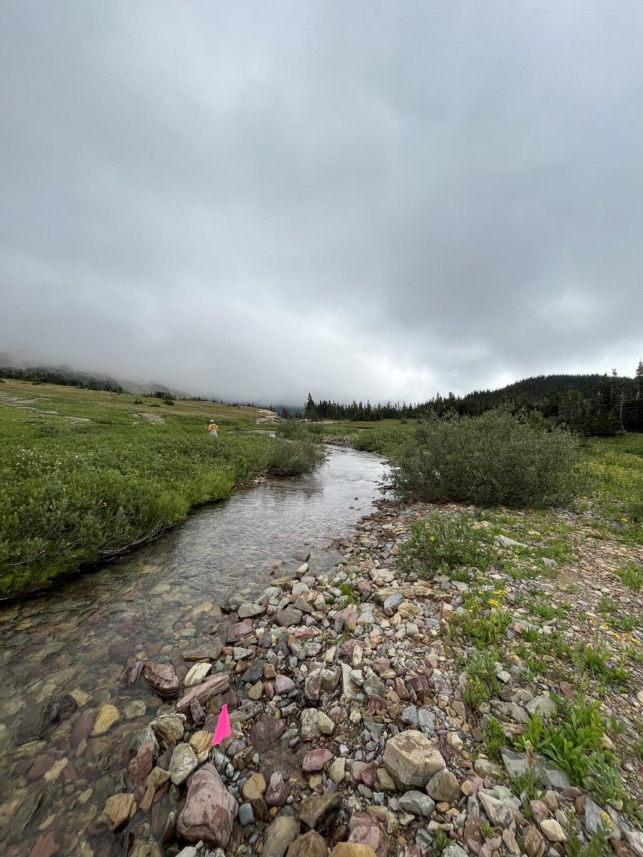 _andrewlowery's tweet photo. Not a bad place to sample streams. I guess it’ll do https://t.co/MfGgzpmYMY