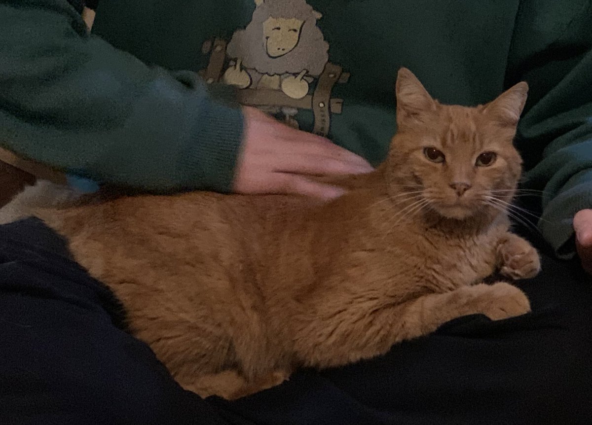 HOLA DANAS SALUDOS A CUCHINGOSSS