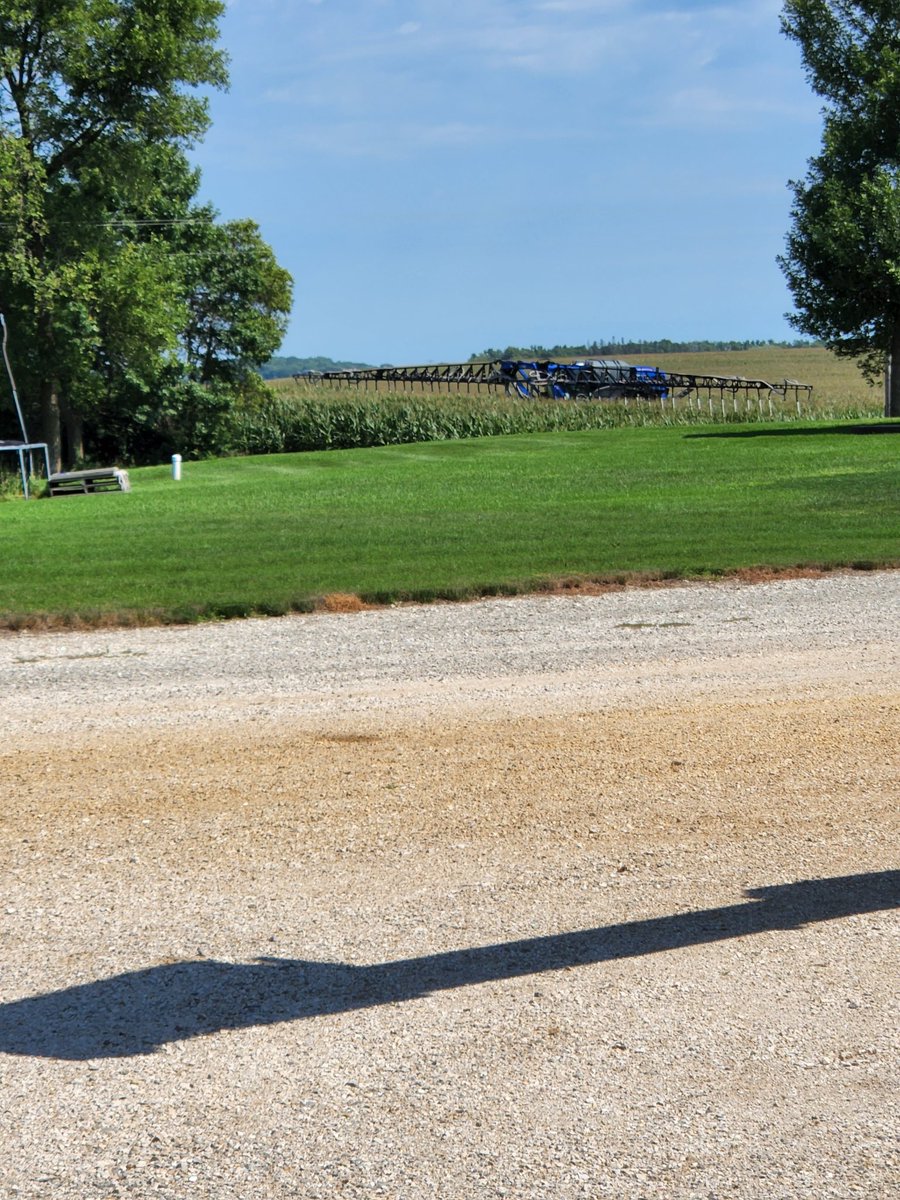 LarryCowing's tweet image. getting rye seeded into corn today
