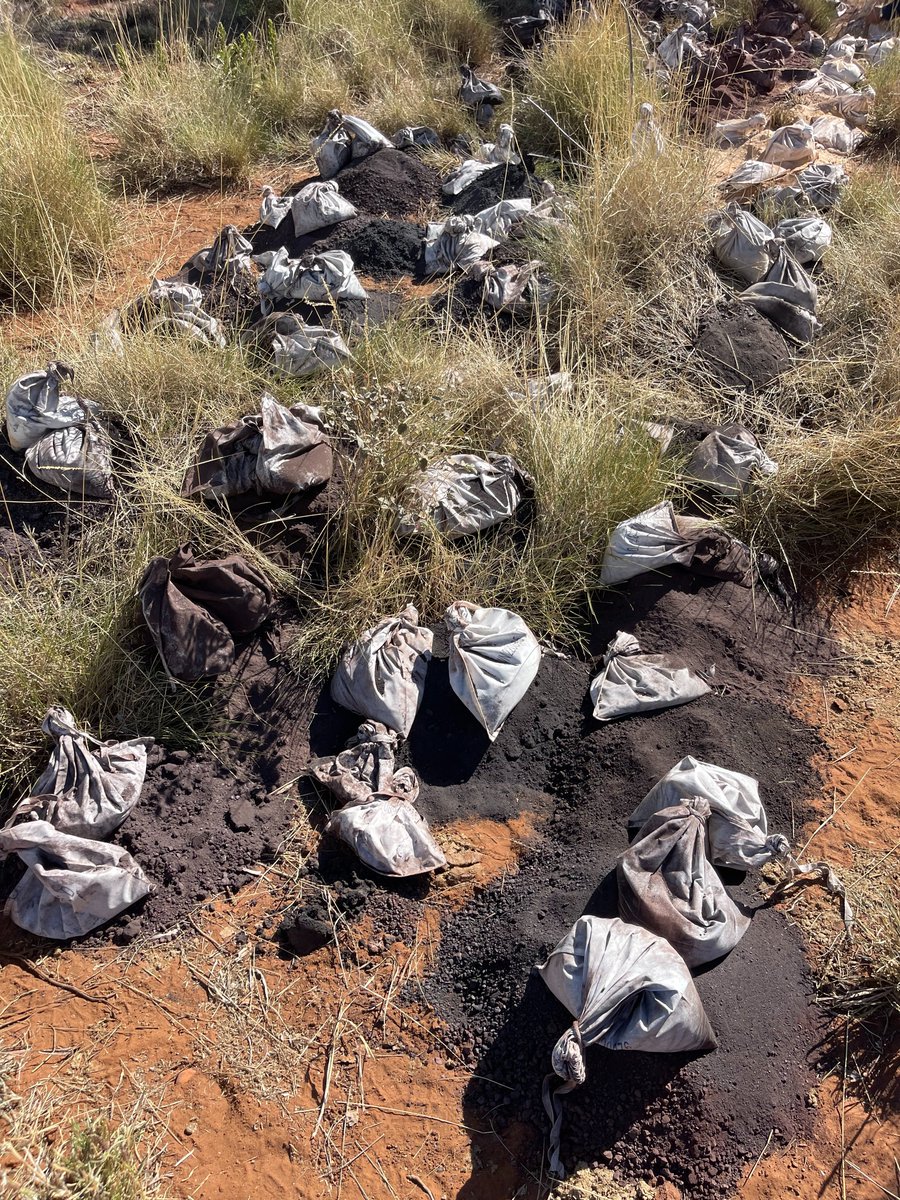 Accelerate_Ax8's tweet photo. Significant new, near surface #manganese mineralisation discovered during our maiden exploration drilling program at our Woodie Woodie North Manganese Project. Approx. 2,000m drilled, with assay results pending. Further drilling to commence in October
https://t.co/KwIPv0IKMG $AX8 https://t.co/UYtSL2cdi5