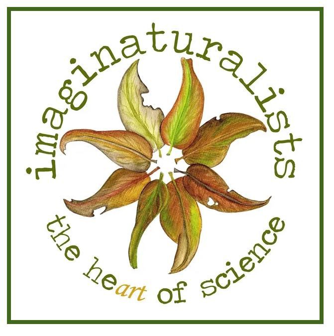 StreamUon's tweet photo. Hone your nature drawing skills at our FREE Beginner workshop with #imaginaturalists at #newcastlemuseum for #scienceweek.  Ages 6 &amp; over. Children under 12 to be accompanied by an adult. Places limited - register now. THIS Saturday 27 Aug - 11.30am or 1pm https://t.co/O8OaUUiCyl https://t.co/LbIoRWEsxt