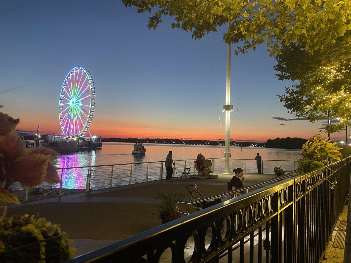 David Hobbie tweet media