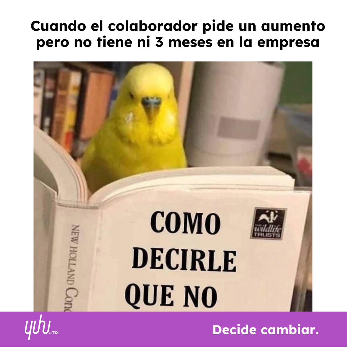 yuhu_mx's tweet photo. Con yuhudils® tus colaboradores tienen acceso a precios especiales en productos de tecnología y línea blanca a plazos que alivian su bienestar económico.

#meme #humorrh #Yuhu #yuhudils #SaludFinanciera #beneficios #RRHH #prestaciones #recursoshumanos. #salario #sueldo #humor https://t.co/9PgBYNFxk4