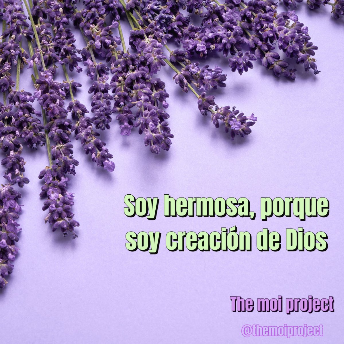 themoiproject's tweet photo. No necesitas de coronas o de artilugios que te pueden costar la vida. Eres hermosa, porque eres creación de Dios y todo lo que de Él viene es hermoso y poderoso.

-
#themoiproject #autoestima #amorpropio #belleza #SanaAutoestima https://t.co/UdNDY8cSHZ