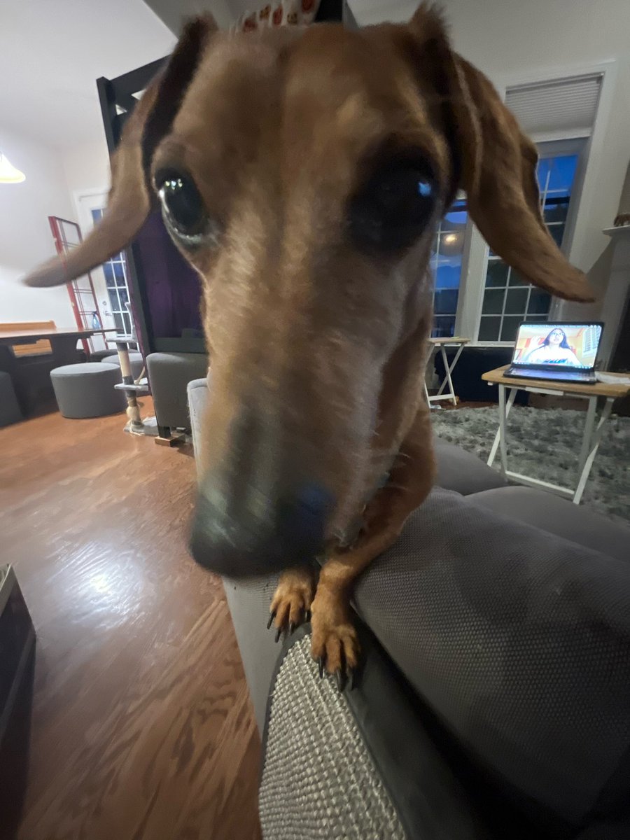 I’m traveling and <a href="/itslucylmao/">lucy,,</a> sends me this 💕