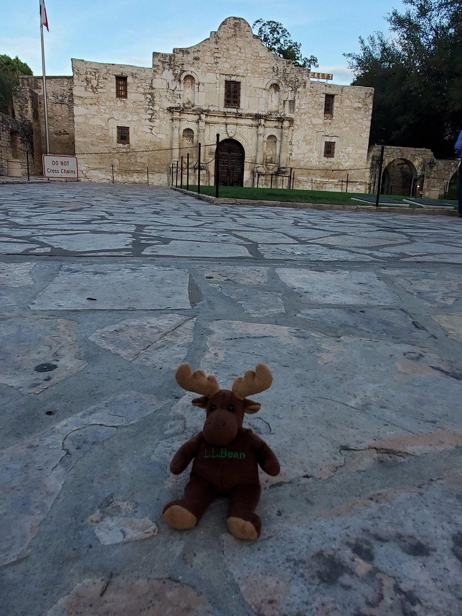 rfduval96's tweet photo. Maya's Moose at the Alamo. #davycrocket https://t.co/fPpUgIMILC
