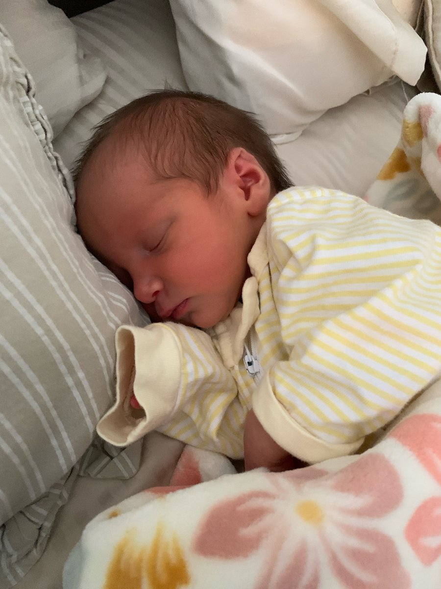 8/18/22 Remi Jo Morris entered the world! <a href="/dee11davis/">DeeDee Morris</a> was an absolute beast! <a href="/Coach_Goderwis/">Beth Goderwis</a> keeping the food coming this week 🔥 <a href="/MSJSoftball/">MSJ Softball</a> #Family