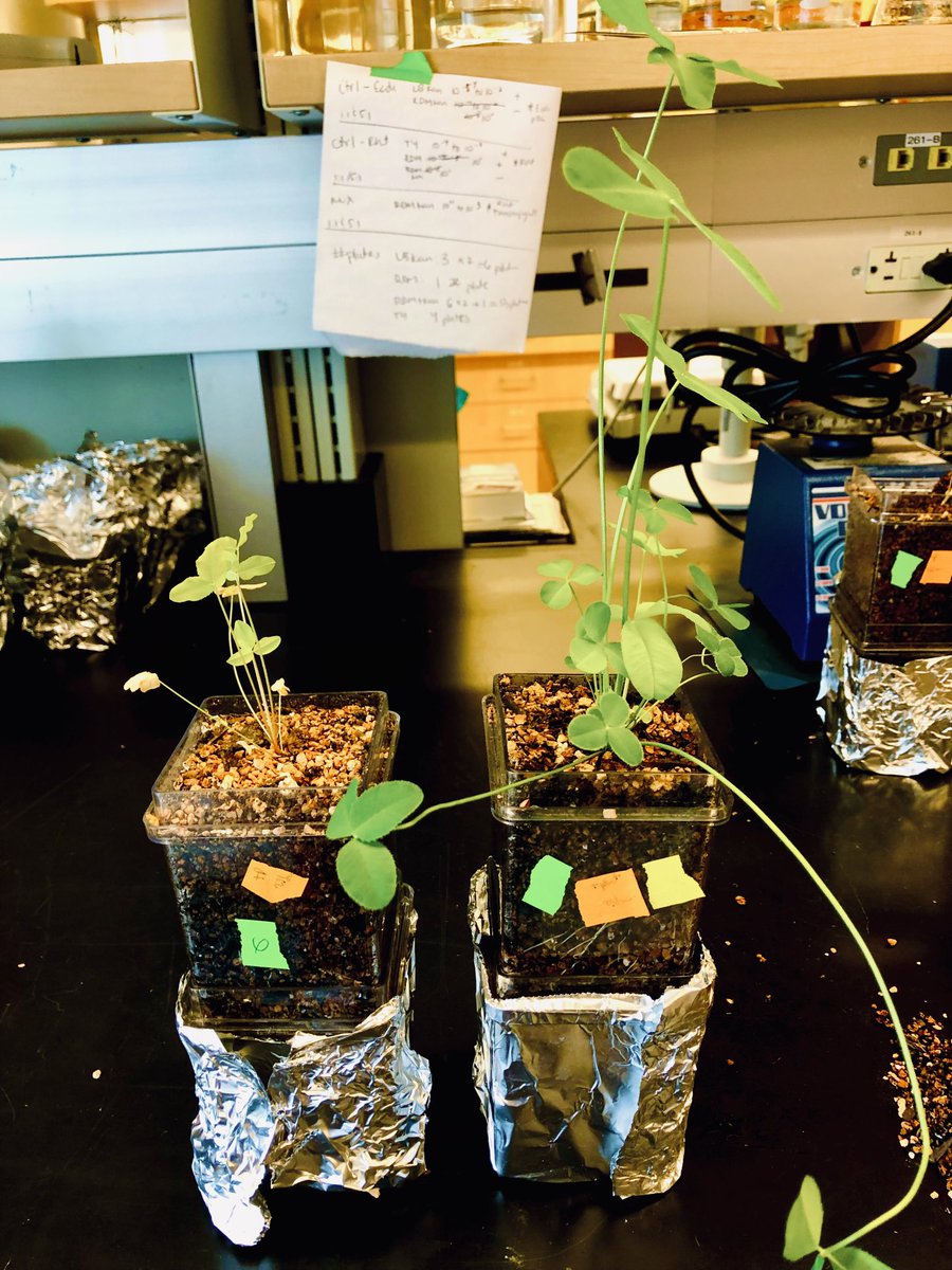 Jay T Lennon tweet media