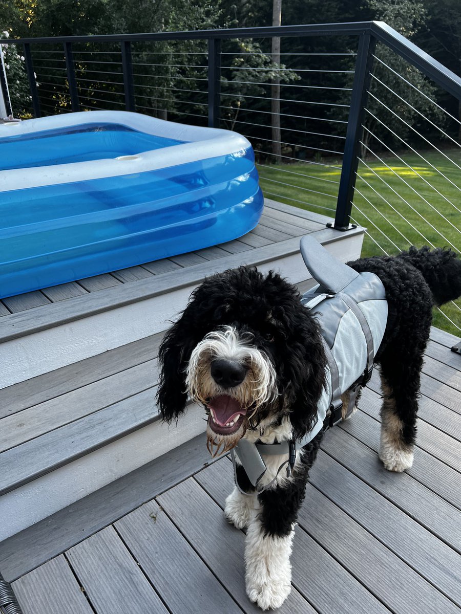 LaceyPolice's tweet photo. Itโs #TripTipTuesday and we know youโre soaking up that last bit of #summer โ๏ธif youโre going to be playing in the water, please make sure to practice #WaterSafety ๐คฟ always #SwimWithABuddy #WearALifeVest and #StayHydrated ! #TripsTips #Bernedoodle #LaceyUnited #LaceyPD https://t.co/d51U2iAk6l