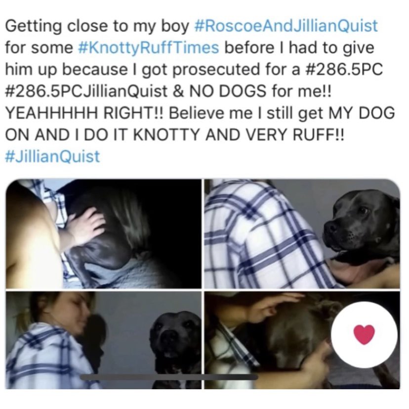 SlurpyDawgPussy's tweet photo. #BestialityBitch #DoGFucKer #SLURPYDOGPUSSY #DOGDICKSLUT #SLUT4DoGDick @ZoophiliaPolice #ZooPhiliaPolice #DoGPoundersNetWork #knotty4dogknot #slut4dogdick @SlurpyDawgPussy @knotty4dogknot @ZooPhiliaPolice https://t.co/OvBvhm6REu
