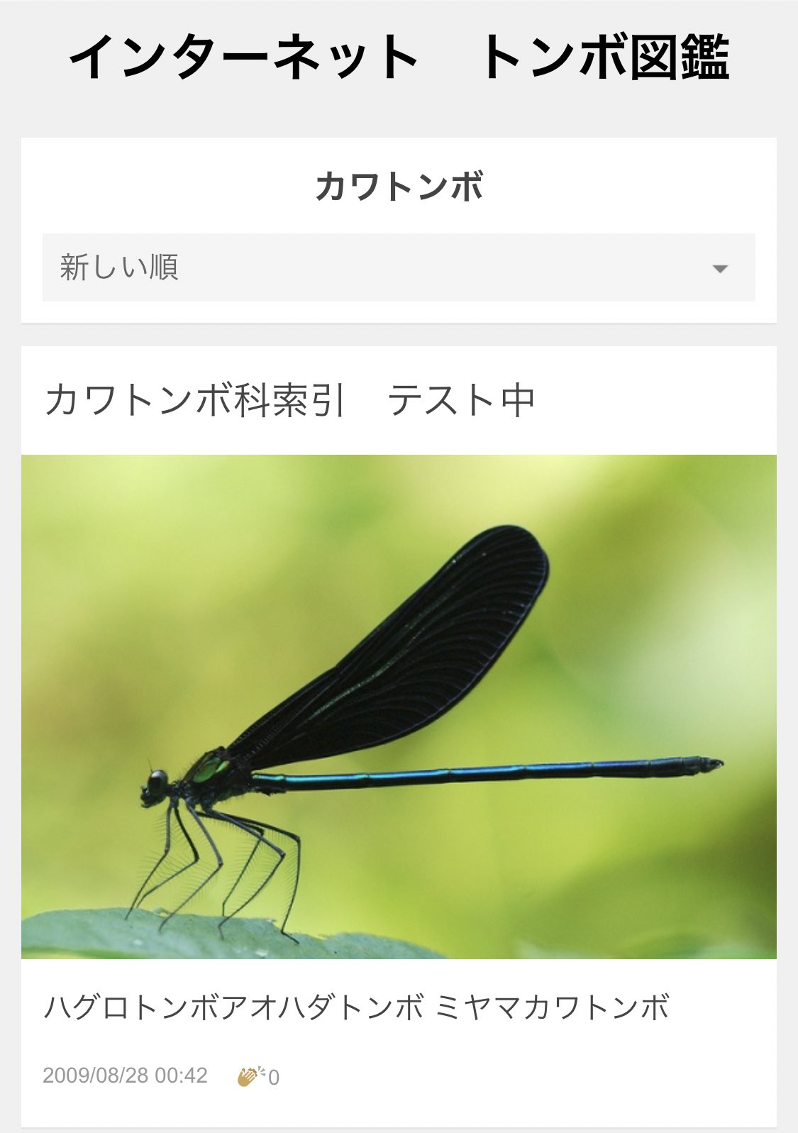 文具専門店 モリイケ Vvvcrykcj7exxzw 弊社昆虫がよく来るお店で今朝は鈴虫がいらっしゃってました 裏庭にご案内しておきました 黒いトンボさんはひらひらするのでまだ捕まえやすかったのですがオニヤンマは早すぎてなかなか店内で虫取り網持って