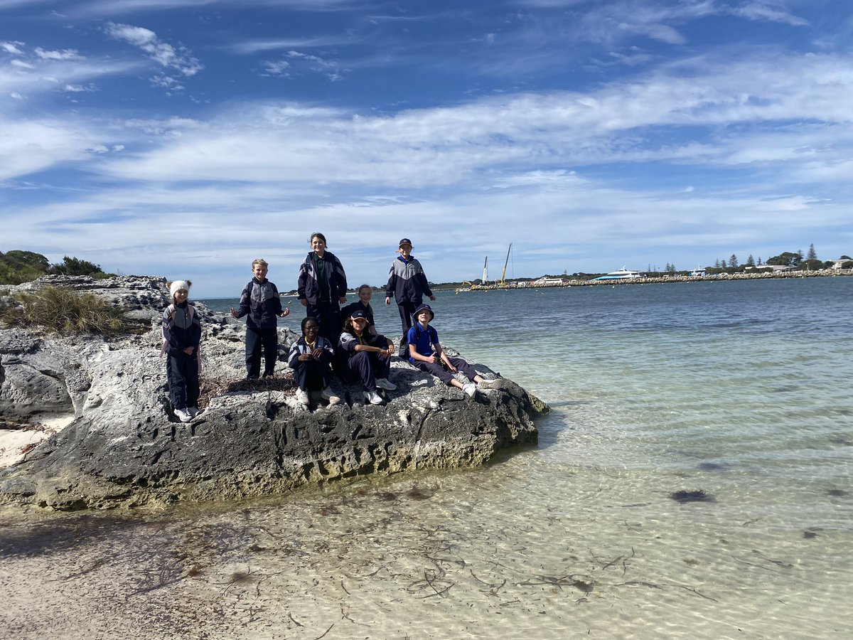 AislingPForbes's tweet photo. Year 6 enjoyed a morning pilgrimage along the beach to Bathurst Lighthouse #HCCEllenbrook https://t.co/kgfbYHGRbq