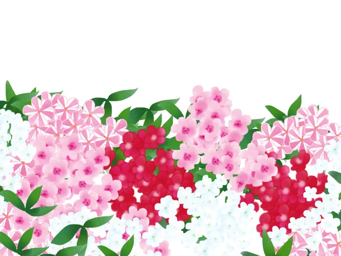 イラストレーター ゆめみ愛さんのプロフィール/無料イラストなら「イラストAC」をイラストACでチェック!  今日8月24日の誕生花「花魁草(フロックス)」の素材ですダウンロードは上記からお願いします↑上記ページから花魁草で検索すると出てきます 