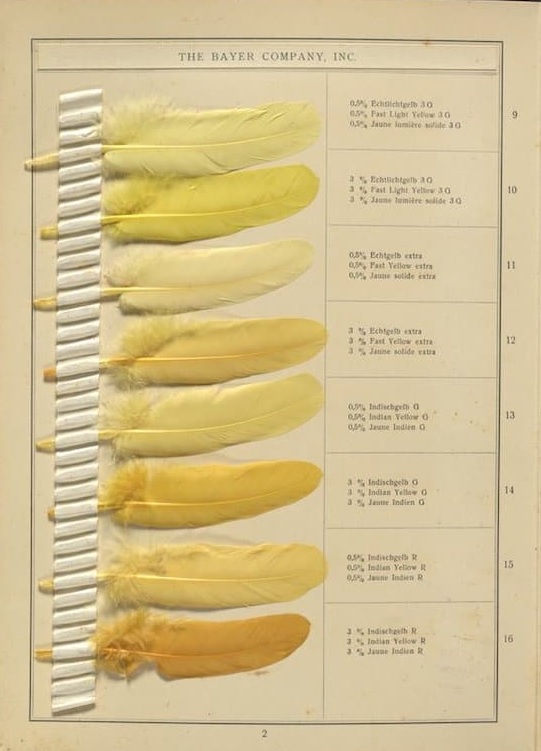 Pages from early 20th-century Sample Book ‘Shades on Feathers’, which displays 143 actual bird feathers of all colours, plus instructions on how to use dyes to achieve the exact colouring mymodernmet.com/shades-on-feat…