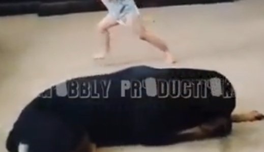 𝙍➍𝙘𝗵𝗶𝗱 tweet media