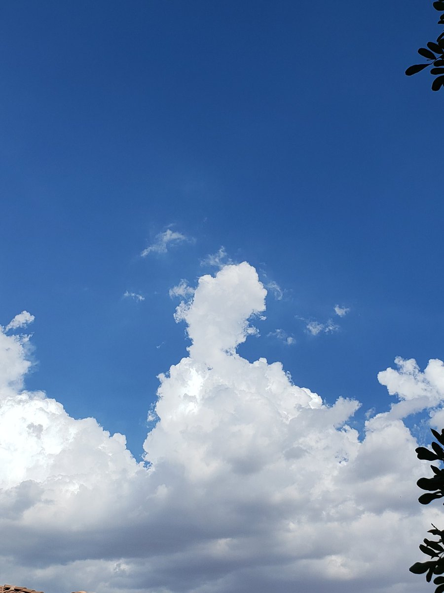 AmyBudafullDis1's tweet photo. #CannabisCommunity #MentalHealthMatters #adhdtwitter 
I'm sure you've heard get a hobby😜
which of ya kinda hyper- focus on &amp; now u have allota 📷 or  trinkets from said hobby🤟well let's 
👁em👁 
     🤟🌷🤟 thanks 🌷 
Just a #funnycloud  #goodvibes https://t.co/oCFZsfrM4Y