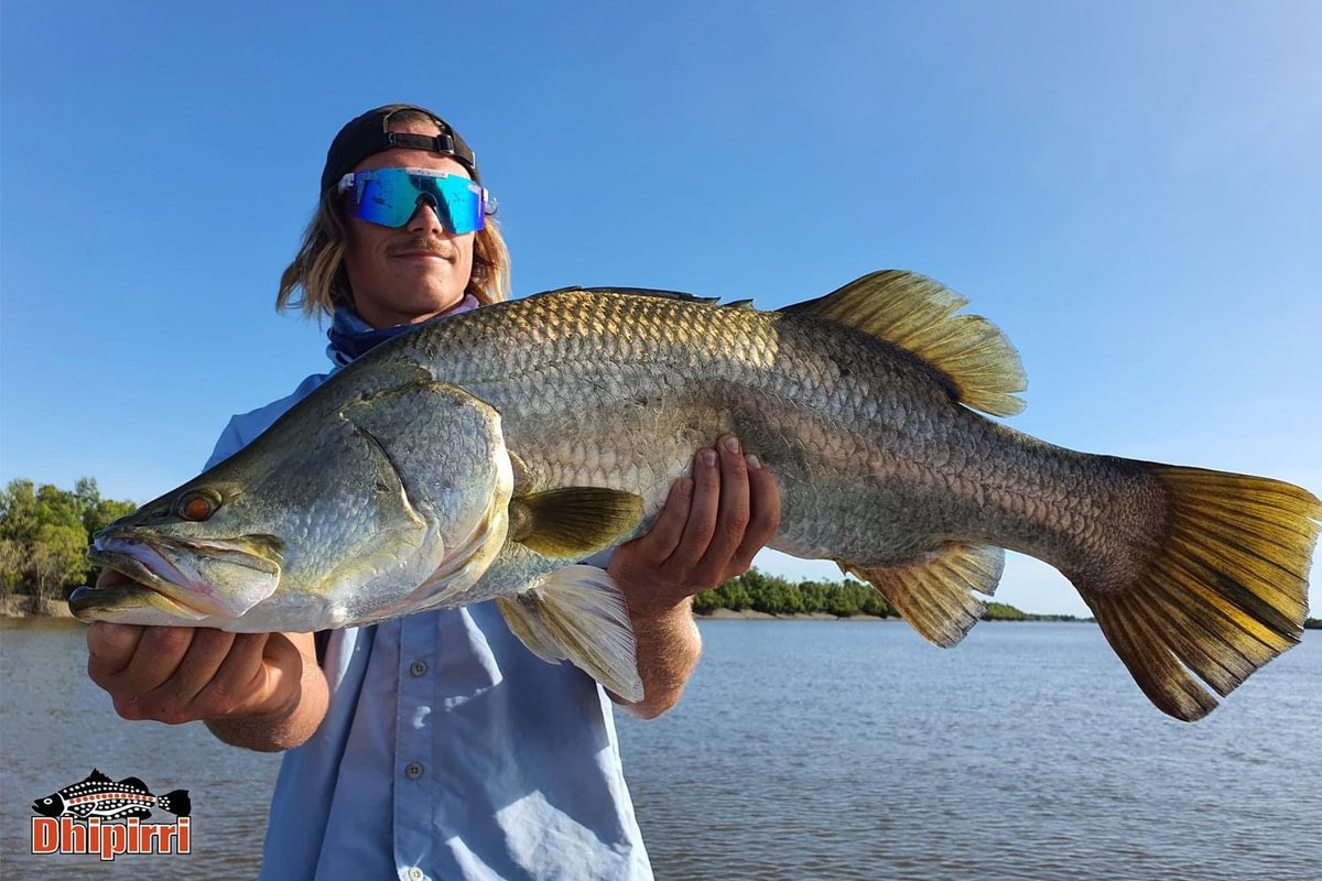 dhipirri's tweet photo. Golden #DhipirriBarra 🏅

| #Dhipirri #Barramundi #Fishing #NTaustralia #SeeAustralia #Travel #Adventure | https://t.co/eEeKMgCBEt