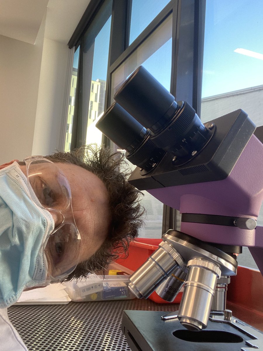 DrCath1's tweet photo. Violet is getting ready for the Faculty of Science EXPO at Open Day!  #utsopenday #UTSScience https://t.co/oHykoTh2zb
