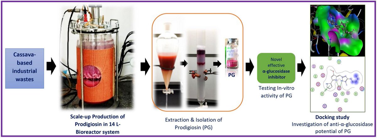 Molecules_MDPI's tweet photo. #HighlyCitedPaper
Utilization of #Cassava #Wastewater for Low-Cost Production of #Prodigiosin via Serratia marcescens TNU01 #Fermentation and Its Novel Potent α-#Glucosidase #Inhibitory Effect
By: Khamphe Phoungthong, et al.
👉https://t.co/zoReoW7QYH
📌#docking
@ChemMatSci_MDPI https://t.co/EZwuUb8ofx