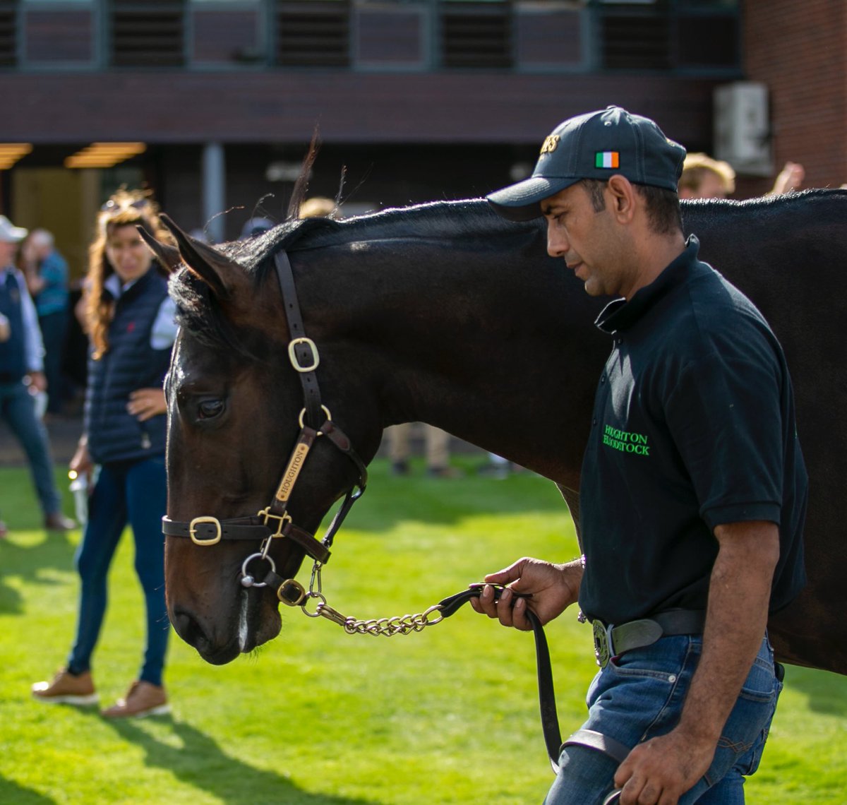 SaracenTB's tweet photo. Congratulations to Houghton Bloodstock and all their team as lot 161, their Cracksman colt out of Pavillon, sells to @TedDurcan for £90,000 @GoffsUK 
#FeedTheDifference #PremierYearlings #FutureInMind
Photos by @laurainaldreth https://t.co/3u2MMUvil8