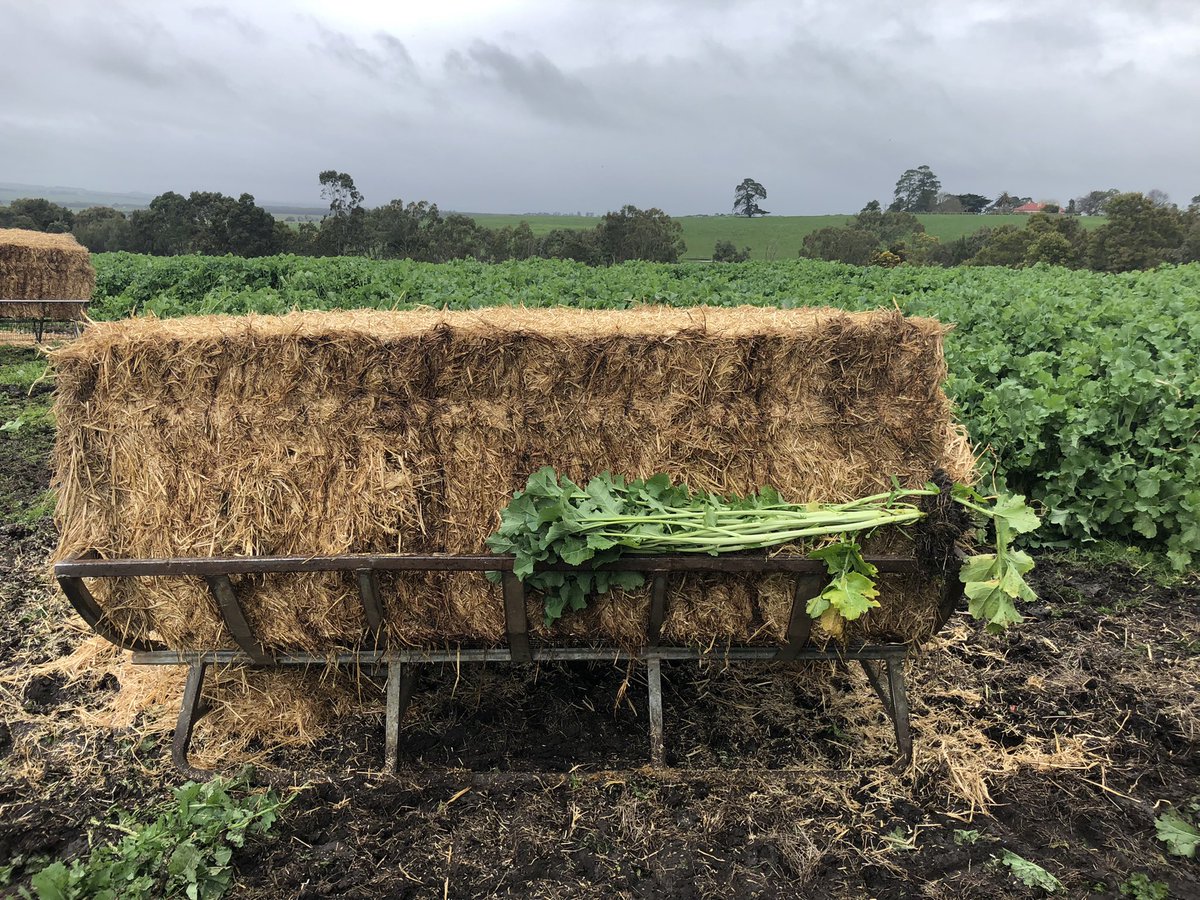 Ag Diagnostics tweet media