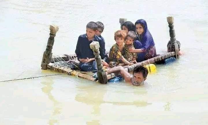 Imraن Sharیf♥️🤍 tweet media