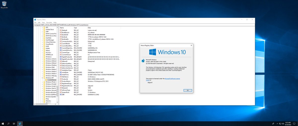 rgadguard_news's tweet photo. Windows 10 Enterprise 2019 LTSC with #PreviewUpdate [17763.3346] AIO (x86-x64) by adguard (v22.08.24) [Multi38]
https://t.co/bmCvMlLcne https://t.co/3fdHp0vJ84