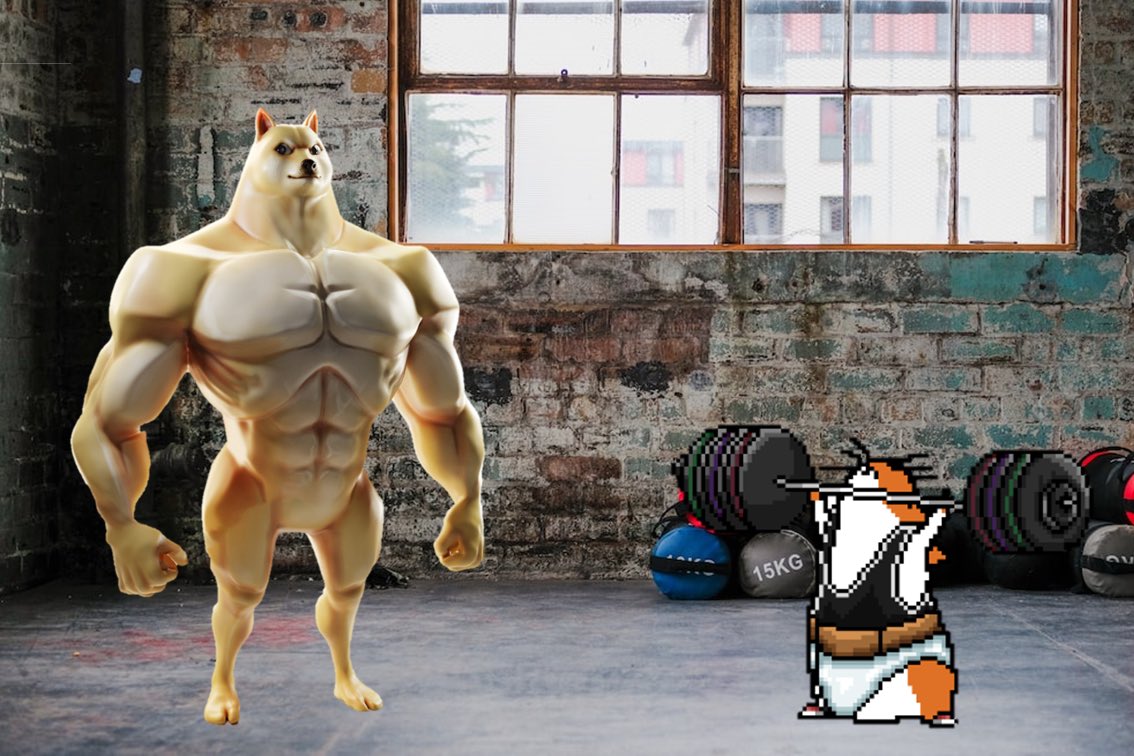 🐶 🤝 🐹  = 🏋️‍♀️