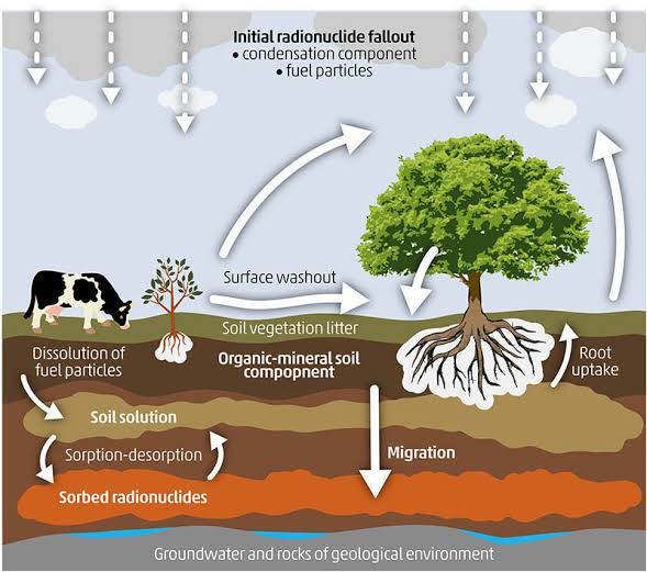 Ishanam2's tweet photo. EFFECTS ON MICRO-ORGANISMS – The microorganisms which are found in soil, if the soil will be polluted the microorganisms which are habitats of soil will die.Their lives depend on soil &amp; because of soil pollution they cannot survive on that soil #SaveSoil @cpsavesoil @SadhguruJV https://t.co/wQVPLhca6h