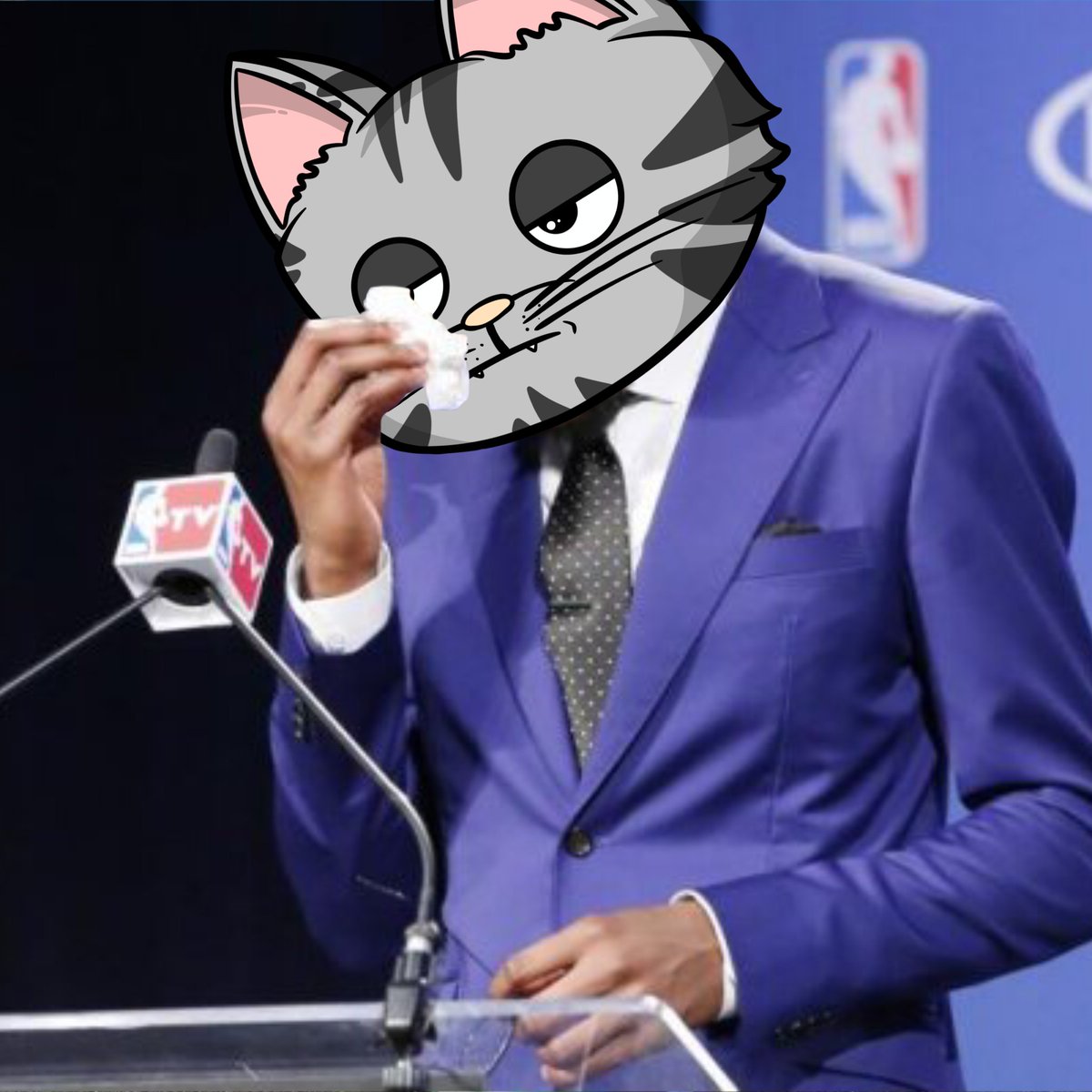 saymeowclub.algo tweet media