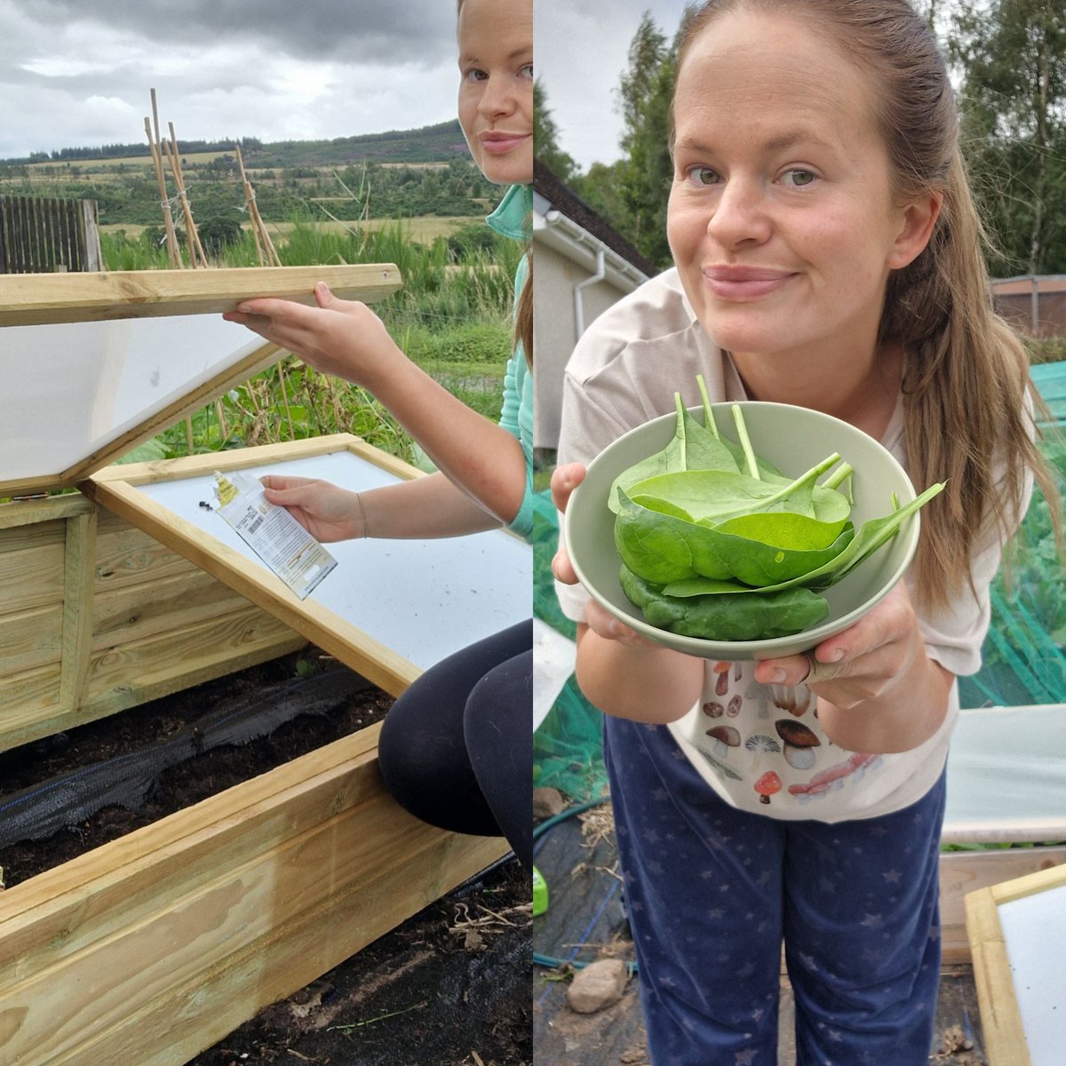 cairi_balmain's tweet photo. Thank goodness for coldframes , certainly help in this climate 🏴󠁧󠁢󠁳󠁣󠁴󠁿 #gardentwitter #growtoeat #bbcgardenersworld https://t.co/qCjLVFAIAR
